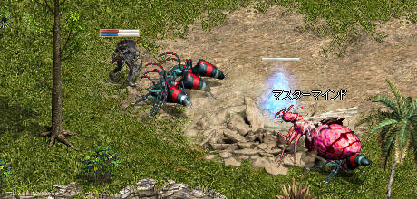 赤蟻☆￣(＞。☆)イテェ