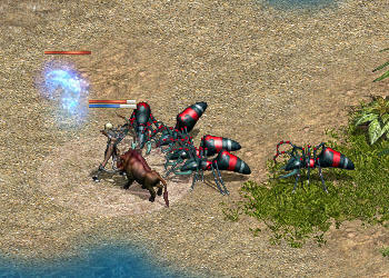 フレンジーアント