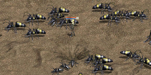 蟻だらけの砂漠