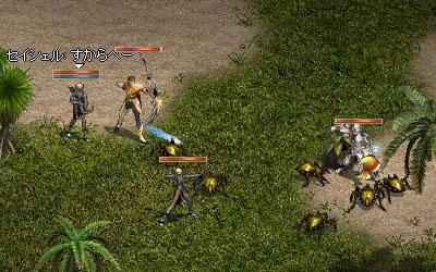 スカラベいっぱい!