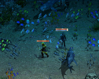 色とりどりの熱帯魚がイッパイ！