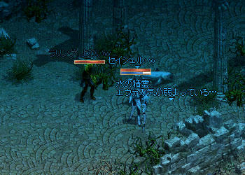 ドロップは精粋とアデナのみ・・・