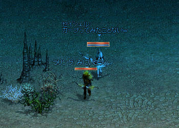 カープ見てみたい!