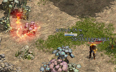 火の大精霊に撃沈！