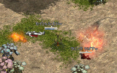 全く歯がたちませんｗ