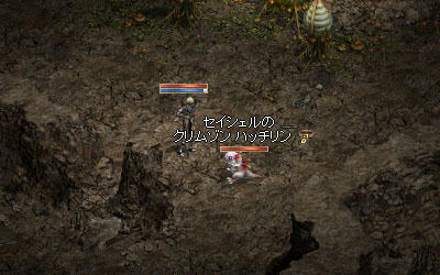 セイシェルのクリムゾンハッチリン