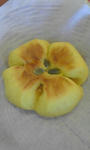 1f02499e.jpg