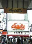 7557c66b.jpg