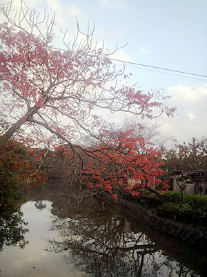 P1000843.jpg