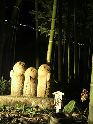 P1000851.jpg