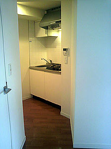 P1000767.jpg