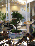 1222071453.gif