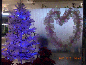 CIMG0324.gif