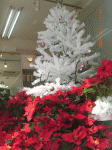 1196650148.gif