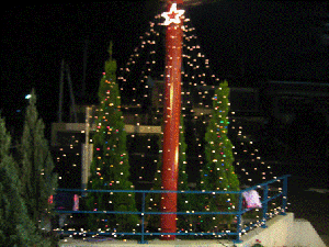 IMG_0685.gif