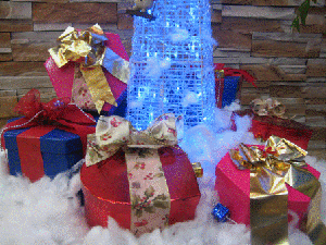 IMG_1452.gif