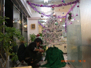 e155d347.gif