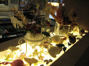 IMG_1714.gif