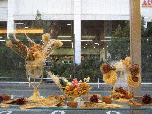 IMG_1719.gif