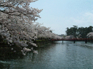 b0058733_1473753.gif