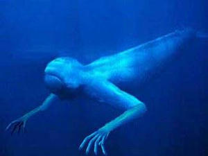ningen.jpg