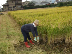 DSCF0482.jpg