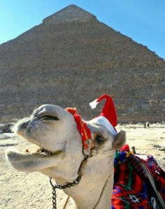 christmas2007_animal_04.jpg