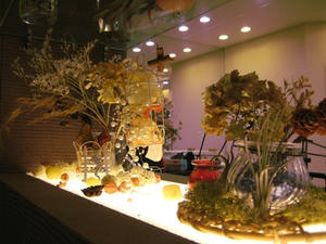 IMG_2420.jpg