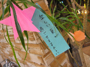 IMG_2854.gif