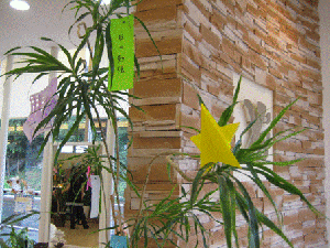 IMG_2856.gif