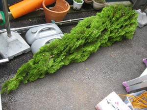 IMG_3113.jpg