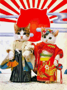 20091127_1440288.gif