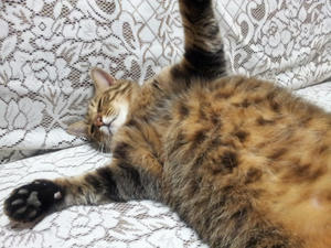 20120730_235140.jpg