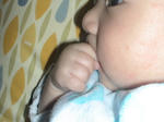 DSC01135.JPG