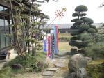 DSC01153.JPG