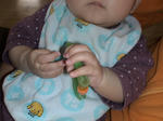 DSC01177.JPG