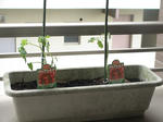 DSC01216.JPG