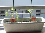DSC01218.JPG
