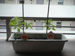 DSC01232.JPG