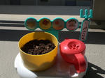 DSC01246.JPG