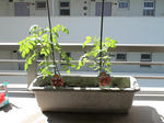 DSC01245.JPG