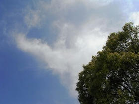 2009_0523_150458AA1.JPG