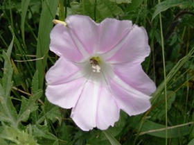 2009_0607_111119AA1.JPG
