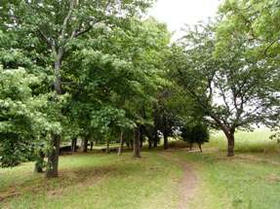 2009_0607_111631AA1.JPG