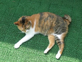 2008_0517_134723AA1.JPG