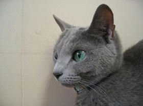 2008_0517_135052AA1.JPG