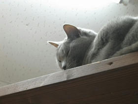 2008_0517_135413AA1.JPG