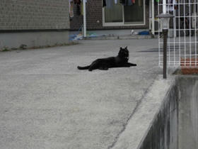 2009_0118_133548AA1.JPG