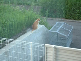 2005_0806_053949AA1.JPG