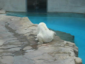 2004_0718_111712AA.JPG